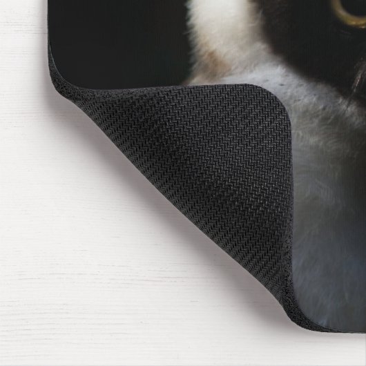 White Fuzzy Owl with Piercing Gaze Muismat (Hoek)