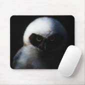 White Fuzzy Owl with Piercing Gaze Muismat (Met muis)