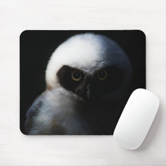 White Fuzzy Owl with Piercing Gaze Muismat (Met muis)