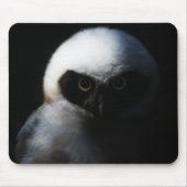 White Fuzzy Owl with Piercing Gaze Muismat (Voorkant)