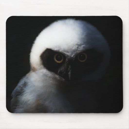 White Fuzzy Owl with Piercing Gaze Muismat (Voorkant)