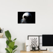 White Fuzzy Owl with Piercing Gaze Poster (Thuiskantoor)
