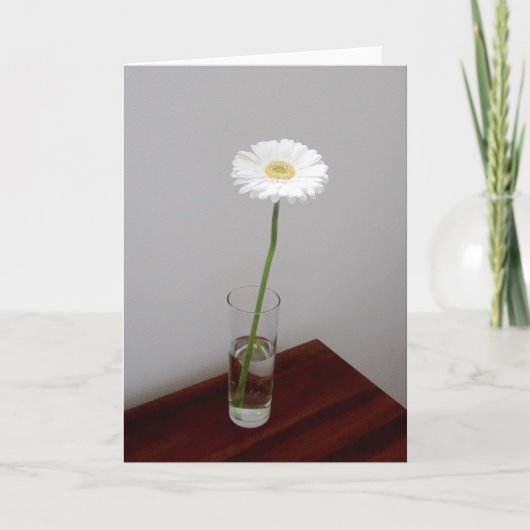 White Garbera 2-kaart Kaart (Voorkant)