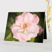 White Garden Roos Kaart (Gele Bloem)