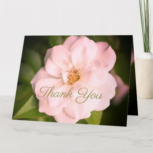 White Garden Roos Kaart (Voorkant)