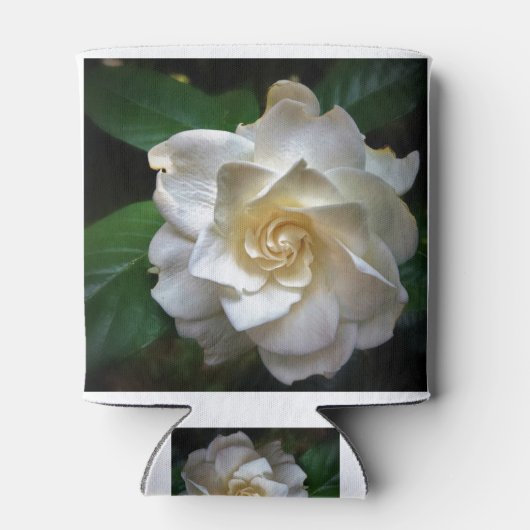 White Gardenia Blikjeskoeler (Achterkant)