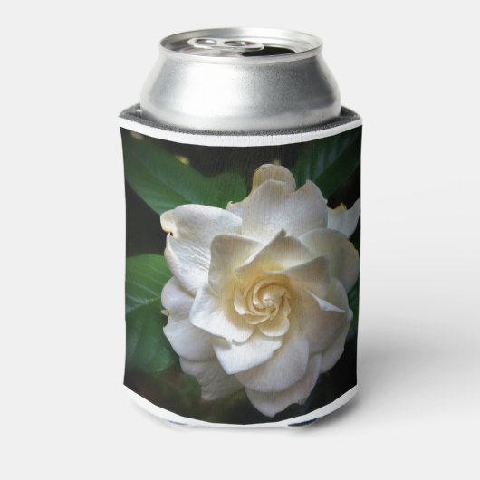 White Gardenia Blikjeskoeler (Blikje Achterkant)