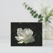 White Gardenia Blossom Briefkaart (Staand voorkant)