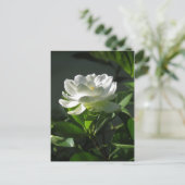 White Gardenia Blossom Briefkaart 2 (Staand voorkant)