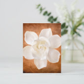 White Gardenia Flower Blossom Floral Briefkaart (Staand voorkant)