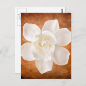 White Gardenia Flower Blossom Floral Briefkaart (Voorkant / Achterkant)