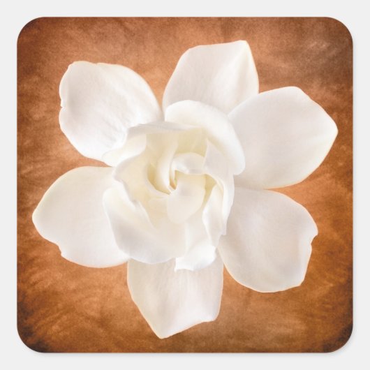 White Gardenia Flower Blossom Floral Vierkante Sticker (Voorkant)