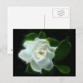 White Gardenia Flower Plant Briefkaart (Voorkant / Achterkant)