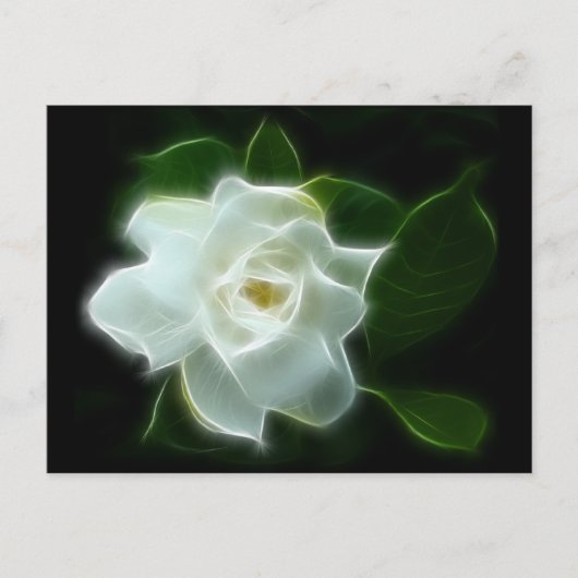 White Gardenia Flower Plant Briefkaart (Voorkant)