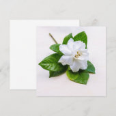 White Gardenia Flowers (Voorkant / Achterkant)