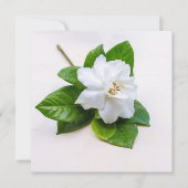 White Gardenia Flowers (Voorkant)