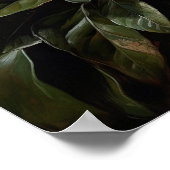 White Gardenia Flowers Art Print Poster (Hoek)