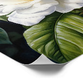 White Gardenia Flowers Art Print Poster (Hoek)