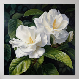 White Gardenia Flowers Art Print Poster