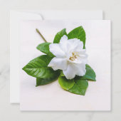 White Gardenia Flowers Briefkaart (Voorkant)