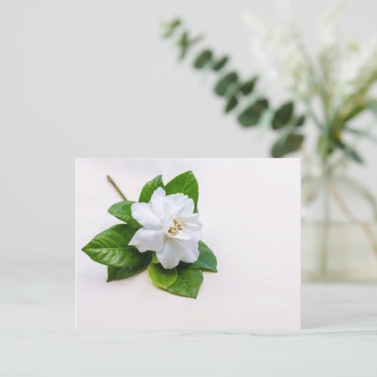 White Gardenia Flowers Briefkaart (Staand voorkant)
