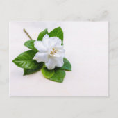 White Gardenia Flowers Briefkaart (Voorkant)