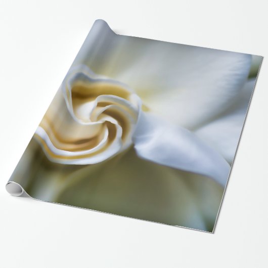 White Gardenia Illustration Cadeaupapier (Uitgerold)