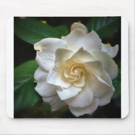 White Gardenia Muismat