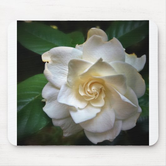 White Gardenia Muismat (Voorkant)