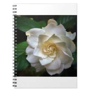 White Gardenia Notitieboek