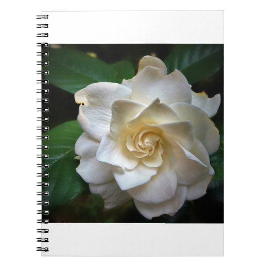 White Gardenia Notitieboek (Voorkant)