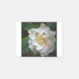 White Gardenia Post-it® Notes