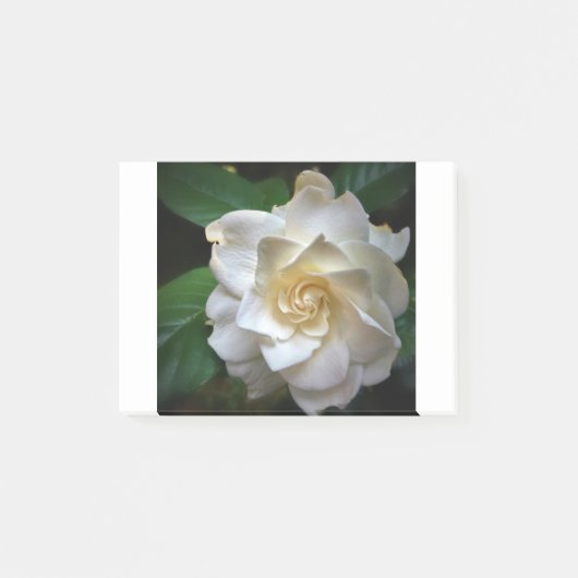 White Gardenia Post-it® Notes (Voorkant)