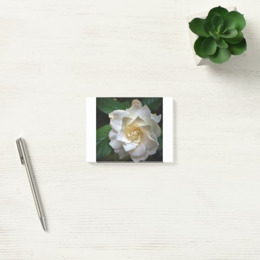 White Gardenia Post-it® Notes (Kantoor)