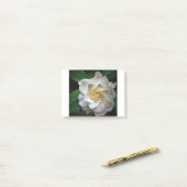 White Gardenia Post-it® Notes (Op bureau)