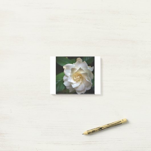 White Gardenia Post-it® Notes (Op bureau)