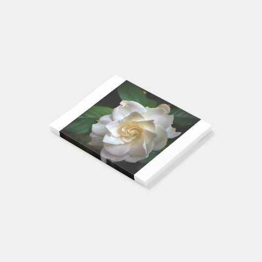 White Gardenia Post-it® Notes (Schuin)