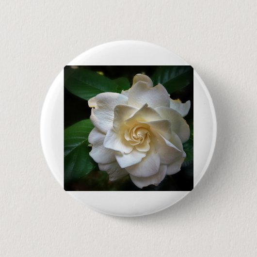 White Gardenia Ronde Button 5,7 Cm (Voorkant)