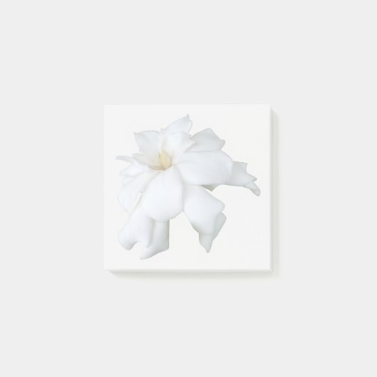 White Gardenia Sticky Notes (Voorkant)
