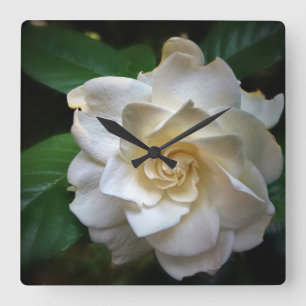 White Gardenia Vierkante Klok