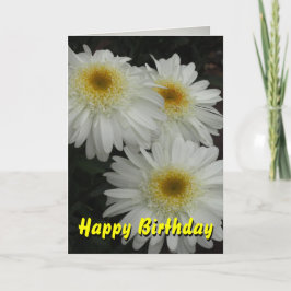 White Gerber Daisy Happy Birthday Kaart