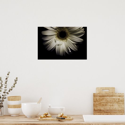 White Gerber Daisy Poster (Keuken)