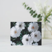White Gerbera Daisies Briefkaart (Staand voorkant)
