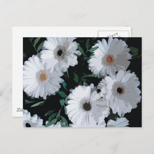 White Gerbera Daisies Briefkaart (Voorkant / Achterkant)