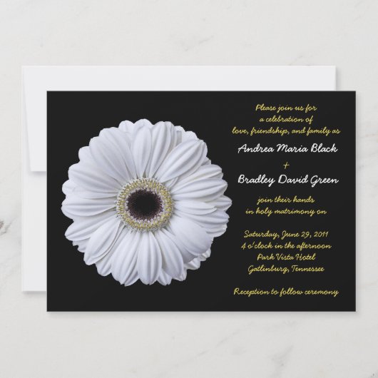 White Gerbera Daisy Black Wedding Invitation Kaart (Voorkant)
