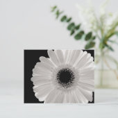 White Gerbera Flower Briefkaart (Staand voorkant)