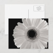 White Gerbera Flower Briefkaart (Voorkant / Achterkant)