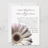 White Gerbera Wedding Daisy Kaart (Voorkant)