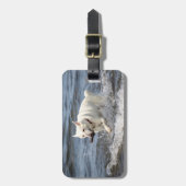 White German Shepard op Lake George Bagagelabel (Voorkant verticaal)