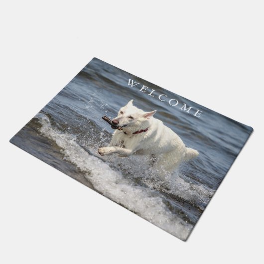 White German Shepard op Lake George Deurmat (Schuin)